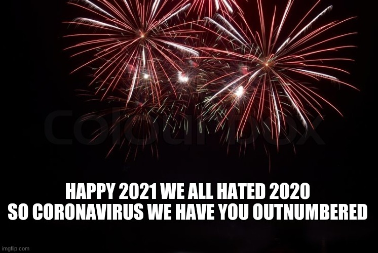 Happy New Year | HAPPY 2021 WE ALL HATED 2020 SO CORONAVIRUS WE HAVE YOU OUTNUMBERED | image tagged in happy new year | made w/ Imgflip meme maker