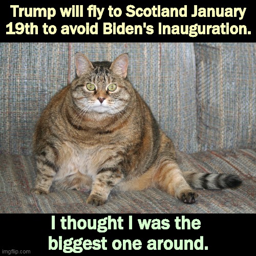 No, Trump is the biggest one of them all. | Trump will fly to Scotland January 19th to avoid Biden's Inauguration. I thought I was the 
biggest one around. | image tagged in biden,president,winner,trump,loser,wimp | made w/ Imgflip meme maker