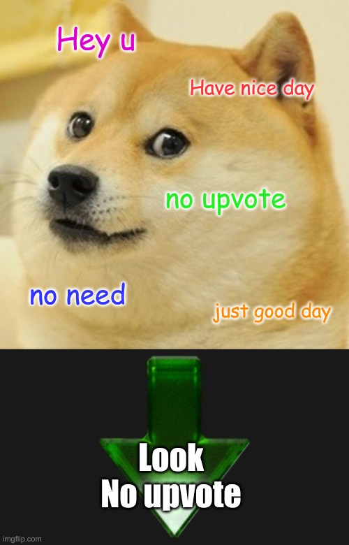 If this is considered begging, I'll take it down. Just let me know. | Hey u; Have nice day; no upvote; no need; just good day; Look
No upvote | image tagged in memes,doge,have a nice day | made w/ Imgflip meme maker
