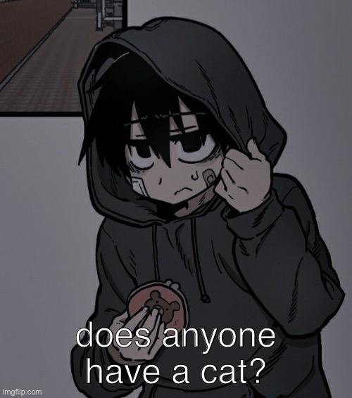 does anyone have a cat? | made w/ Imgflip meme maker