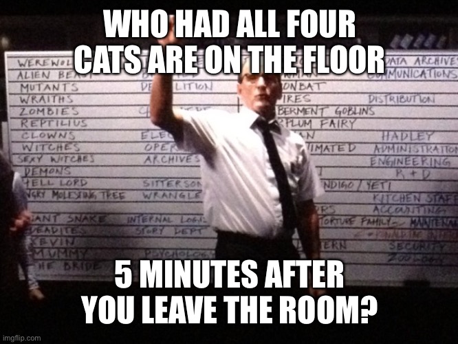 Who had X for Y? | WHO HAD ALL FOUR CATS ARE ON THE FLOOR 5 MINUTES AFTER YOU LEAVE THE ROOM? | image tagged in who had x for y | made w/ Imgflip meme maker