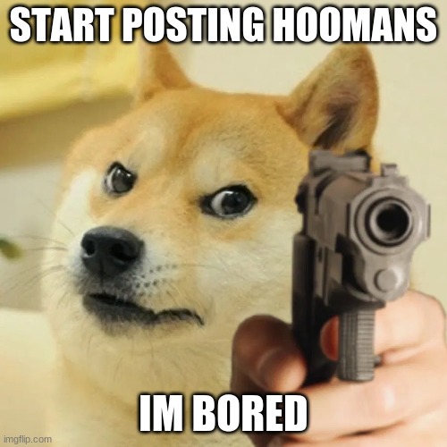 D E W IT | START POSTING HOOMANS; IM BORED | image tagged in angry doge | made w/ Imgflip meme maker