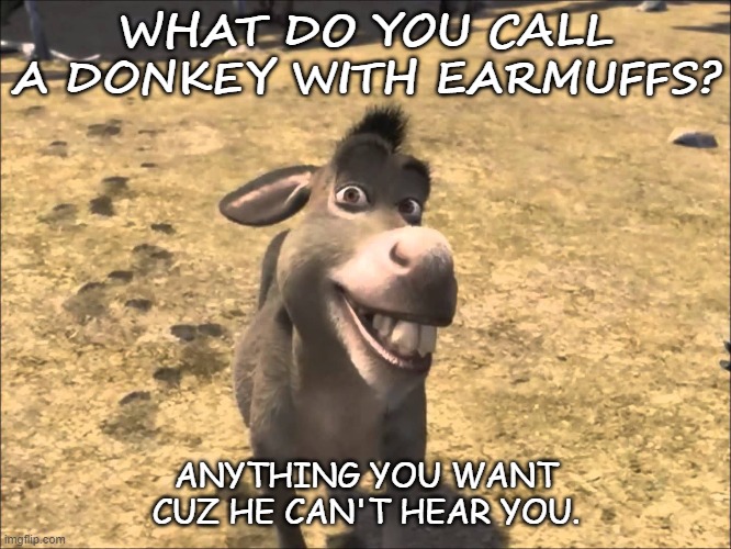 Daily Bad Dad Joke of the Day Jan 4 2021 | WHAT DO YOU CALL A DONKEY WITH EARMUFFS? ANYTHING YOU WANT CUZ HE CAN'T HEAR YOU. | image tagged in donkey shrek | made w/ Imgflip meme maker