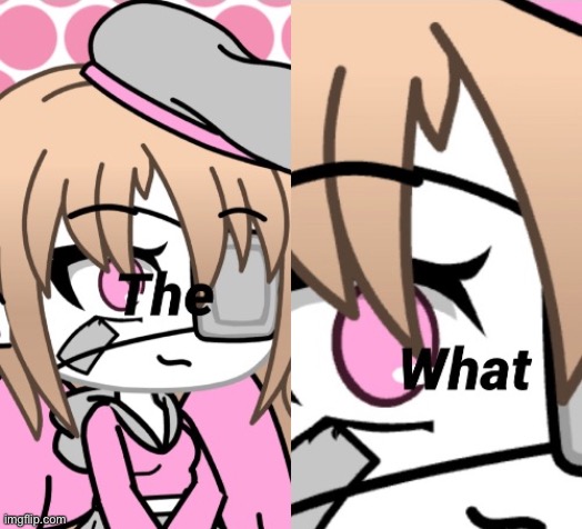 CookieUwU_Memer The What | image tagged in cookieuwu_memer the what | made w/ Imgflip meme maker