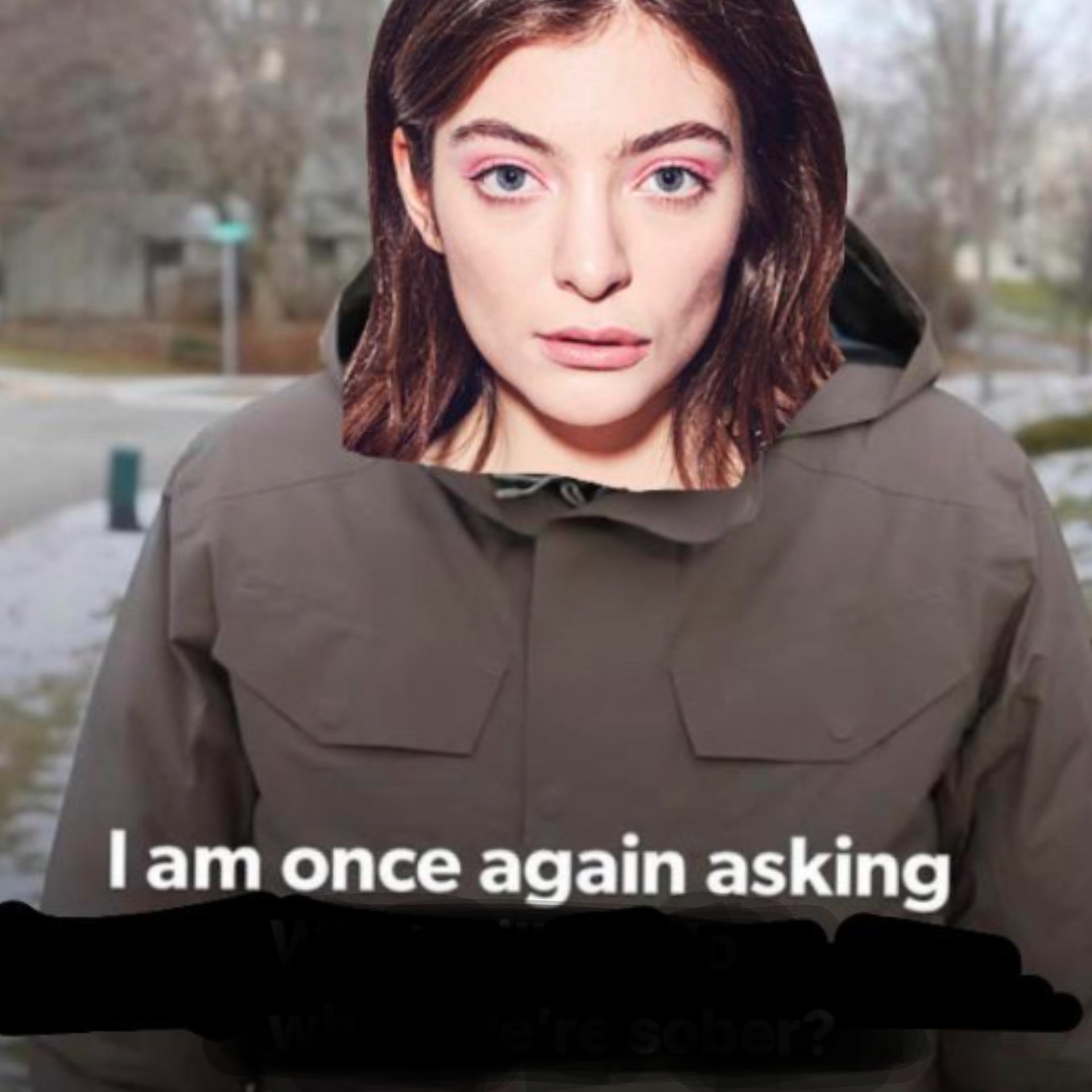 High Quality Lorde asks a question Blank Meme Template