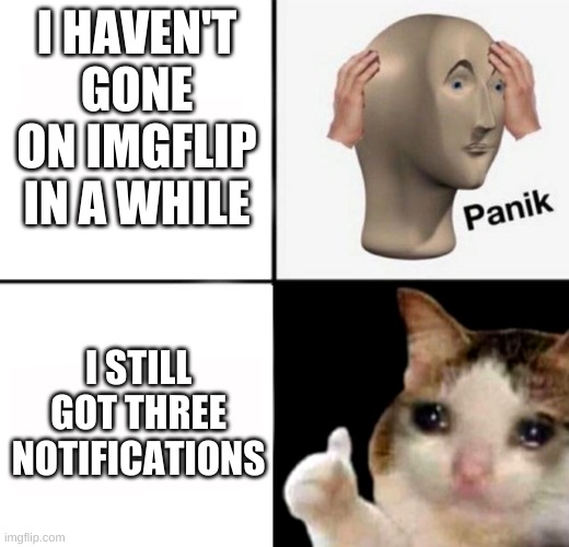 at least i got notifications | I HAVEN'T GONE ON IMGFLIP IN A WHILE; I STILL GOT THREE NOTIFICATIONS | image tagged in panik kalm,sad cat thumbs up | made w/ Imgflip meme maker