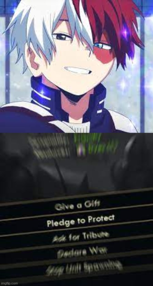 PROTECT THAT SMILE | image tagged in pledge to protect,todoroki,smiles | made w/ Imgflip meme maker