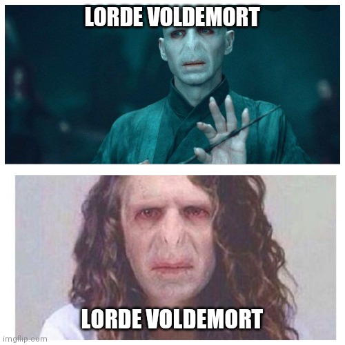 Lorde voldemort | LORDE VOLDEMORT; LORDE VOLDEMORT | image tagged in lorde voldemort | made w/ Imgflip meme maker