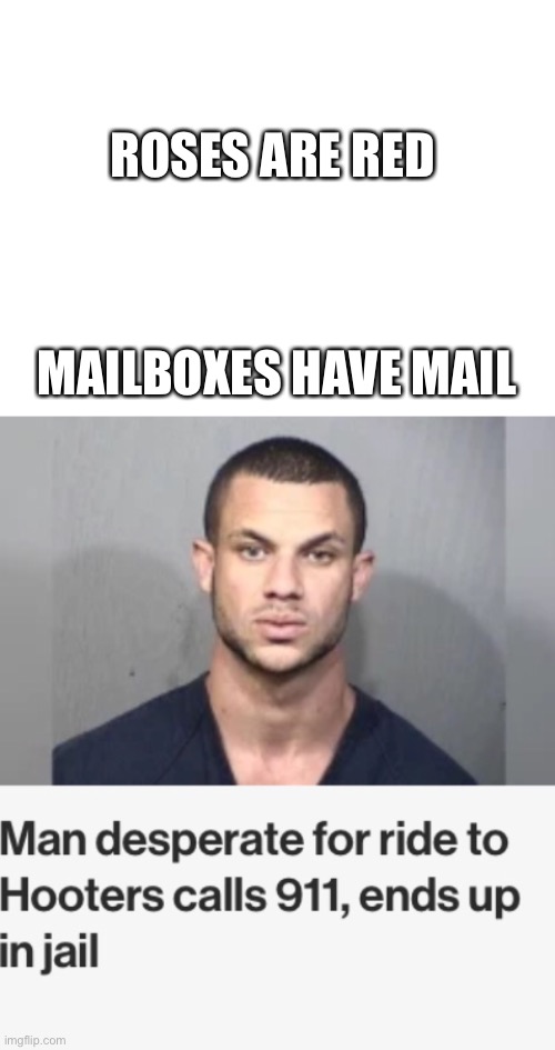 We have Uber, you know | ROSES ARE RED; MAILBOXES HAVE MAIL | image tagged in blank white template | made w/ Imgflip meme maker