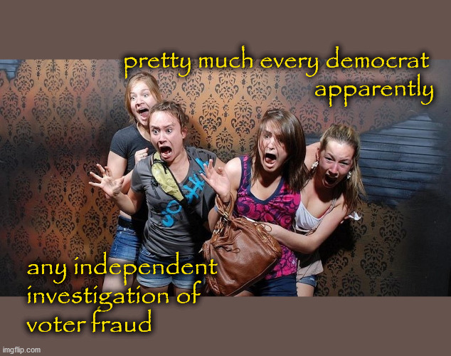 who is afraid of election audits? | pretty much every democrat 
apparently; any independent 
investigation of 
voter fraud | image tagged in politics | made w/ Imgflip meme maker