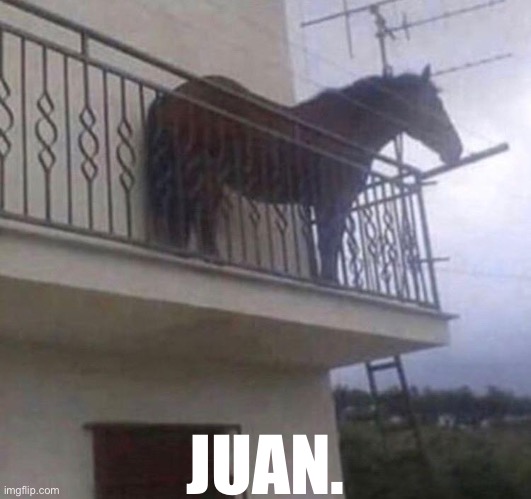 Juan | JUAN. | image tagged in juan | made w/ Imgflip meme maker