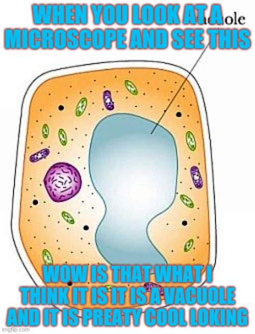 WHEN YOU LOOK AT A MICROSCOPE AND SEE THIS; WOW IS THAT WHAT I THINK IT IS IT IS A VACUOLE AND IT IS PREATY COOL LOKING | image tagged in one does not simply | made w/ Imgflip meme maker