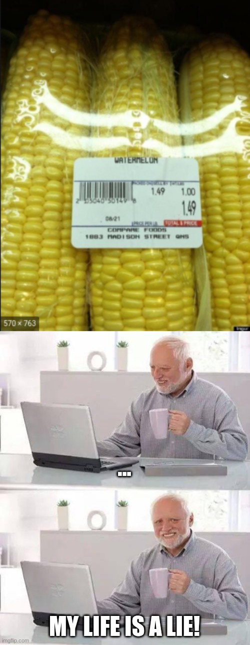 who knew corn was really watermelon. LOL. | ... MY LIFE IS A LIE! | image tagged in memes,hide the pain harold,my life is a lie | made w/ Imgflip meme maker