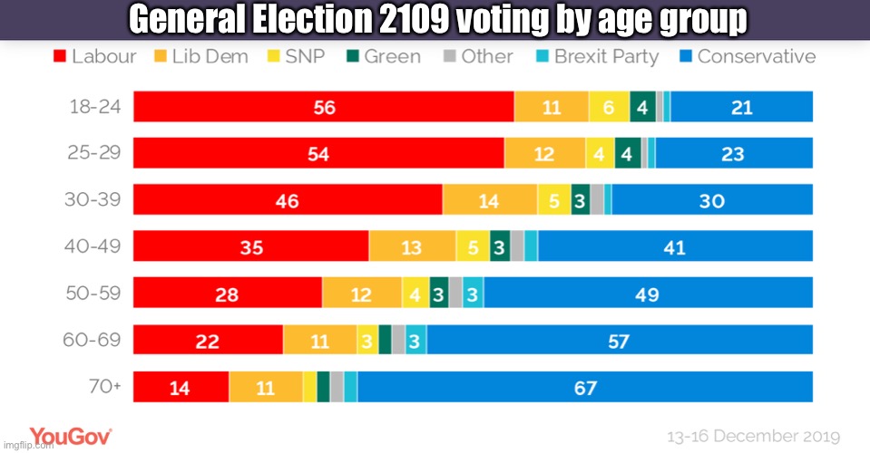 GE vote by age 2019 | General Election 2109 voting by age group | image tagged in ge vote by age 2019 | made w/ Imgflip meme maker