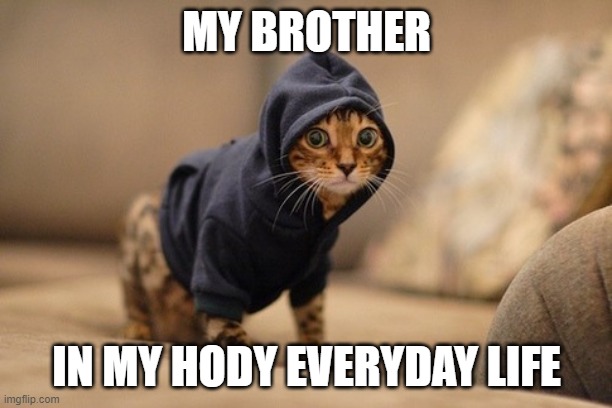 my brother | MY BROTHER; IN MY HODY EVERYDAY LIFE | image tagged in memes,hoody cat | made w/ Imgflip meme maker