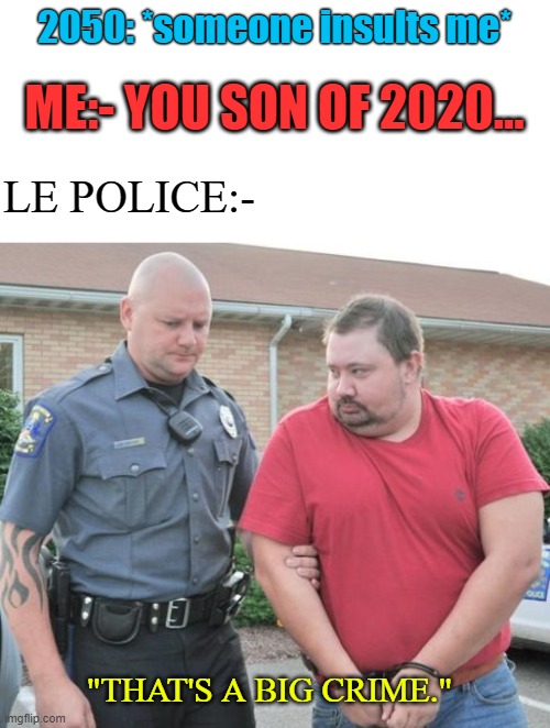 Another 2020 joke... | 2050: *someone insults me*; ME:- YOU SON OF 2020... LE POLICE:-; "THAT'S A BIG CRIME." | image tagged in man get arrested | made w/ Imgflip meme maker