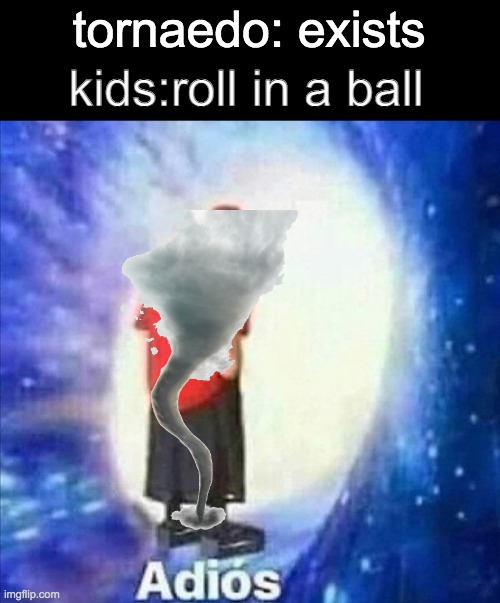 that was so dumb | tornaedo: exists; kids:roll in a ball | image tagged in adios | made w/ Imgflip meme maker