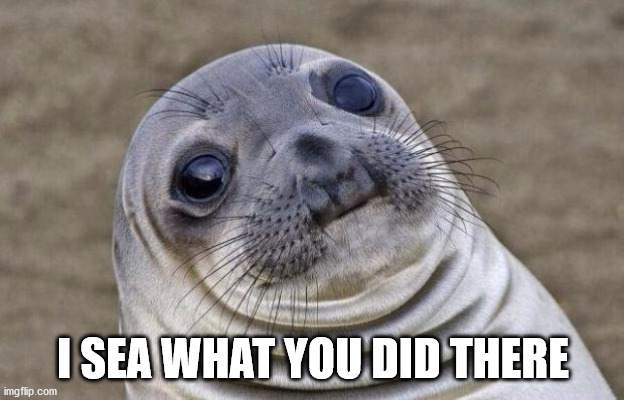 Awkward Moment Sealion Meme | I SEA WHAT YOU DID THERE | image tagged in memes,awkward moment sealion | made w/ Imgflip meme maker