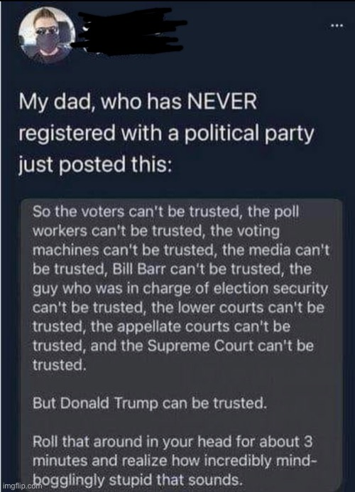 Worth sharing | image tagged in election 2020,donald trump,donald trump is an idiot,voter fraud,election fraud | made w/ Imgflip meme maker