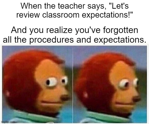 Teachers-Students classroom procedures review | When the teacher says, "Let's review classroom expectations!"; And you realize you've forgotten all the procedures and expectations. | image tagged in memes,monkey puppet | made w/ Imgflip meme maker
