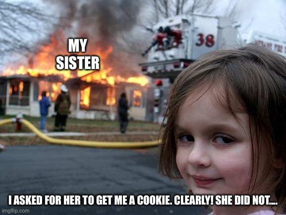 I only wanted one! | MY SISTER; I ASKED FOR HER TO GET ME A COOKIE. CLEARLY! SHE DID NOT.... | image tagged in memes,disaster girl | made w/ Imgflip meme maker