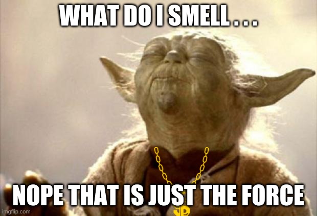 how bad is yoda's nose? | WHAT DO I SMELL . . . NOPE THAT IS JUST THE FORCE | image tagged in yoda smell | made w/ Imgflip meme maker