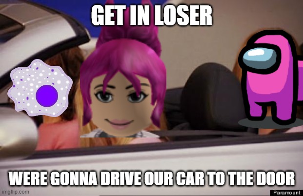 Get In Loser | GET IN LOSER WERE GONNA DRIVE OUR CAR TO THE DOOR | image tagged in get in loser | made w/ Imgflip meme maker