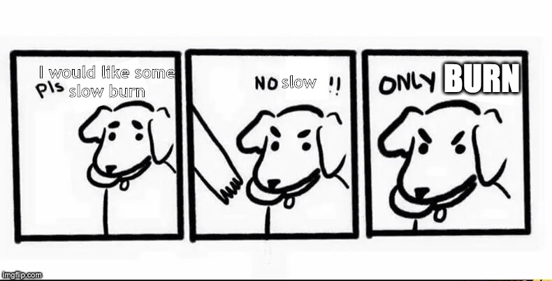 no take only throw blank | BURN; slow; I would like some
slow burn | image tagged in no take only throw blank | made w/ Imgflip meme maker