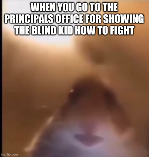 Hamster in a pickle | WHEN YOU GO TO THE PRINCIPALS OFFICE FOR SHOWING THE BLIND KID HOW TO FIGHT | image tagged in hamster | made w/ Imgflip meme maker