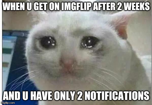 It's True | WHEN U GET ON IMGFLIP AFTER 2 WEEKS; AND U HAVE ONLY 2 NOTIFICATIONS | image tagged in crying cat | made w/ Imgflip meme maker