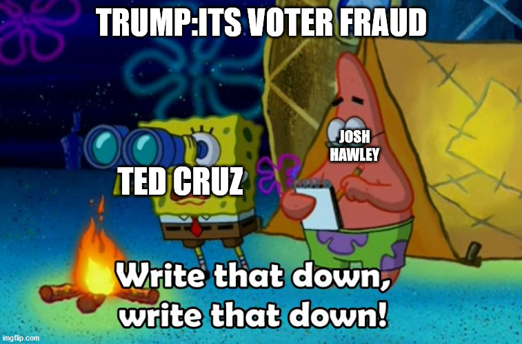 write that down | TRUMP:ITS VOTER FRAUD; JOSH HAWLEY; TED CRUZ | image tagged in write that down | made w/ Imgflip meme maker