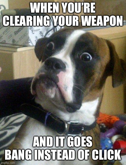 Blankie the Shocked Dog |  WHEN YOU’RE CLEARING YOUR WEAPON; AND IT GOES BANG INSTEAD OF CLICK | image tagged in blankie the shocked dog,funny,military,funny memes,memes,dank memes | made w/ Imgflip meme maker