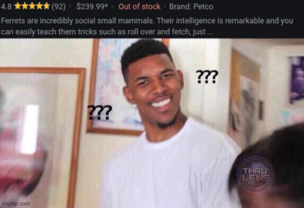 They're selling ferrets and the ferrets are out of stock... | image tagged in black guy confused | made w/ Imgflip meme maker