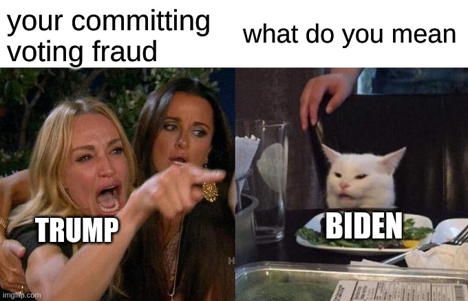 Woman Yelling At Cat | your committing voting fraud; what do you mean; BIDEN; TRUMP | image tagged in memes,woman yelling at cat | made w/ Imgflip meme maker