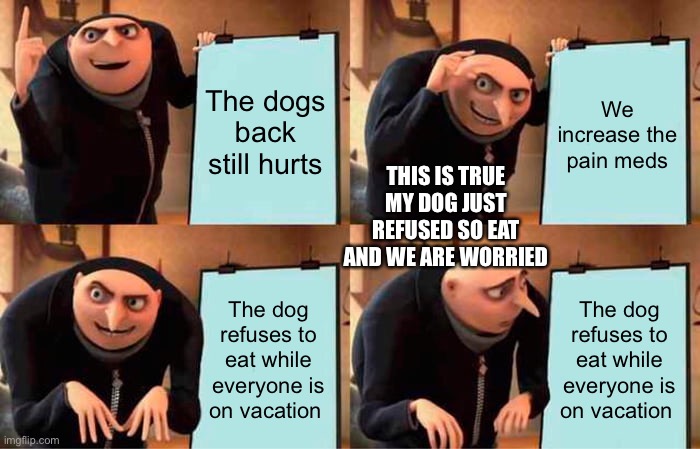 Gru's Plan Meme | The dogs back still hurts; We increase the pain meds; THIS IS TRUE MY DOG JUST REFUSED SO EAT AND WE ARE WORRIED; The dog refuses to eat while everyone is on vacation; The dog refuses to eat while everyone is on vacation | image tagged in memes,gru's plan | made w/ Imgflip meme maker