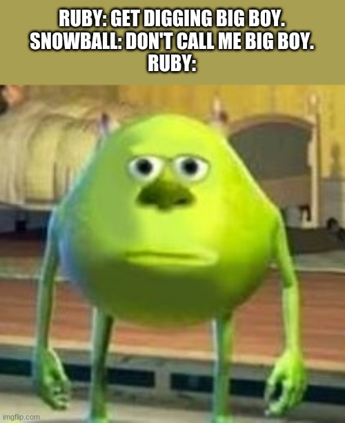 Just a BFB Meme. | RUBY: GET DIGGING BIG BOY.
SNOWBALL: DON'T CALL ME BIG BOY.
RUBY: | image tagged in mike with sully's face | made w/ Imgflip meme maker
