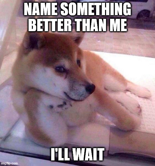 try | NAME SOMETHING BETTER THAN ME; I'LL WAIT | image tagged in flirting doge,blaziken_650s | made w/ Imgflip meme maker