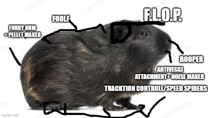 guinea pig anatomy |  F.L.O.P. FOOLF; FURRY BUM + PELLET MAKER; BOOPER; ANTIVEGGI ATTACHMENT+ NOISE MAKER; TRACKTION CONTROLL/SPEED SPIDERS | image tagged in fluffy,guinea pig,apple_soup,cute,aww,funny | made w/ Imgflip meme maker