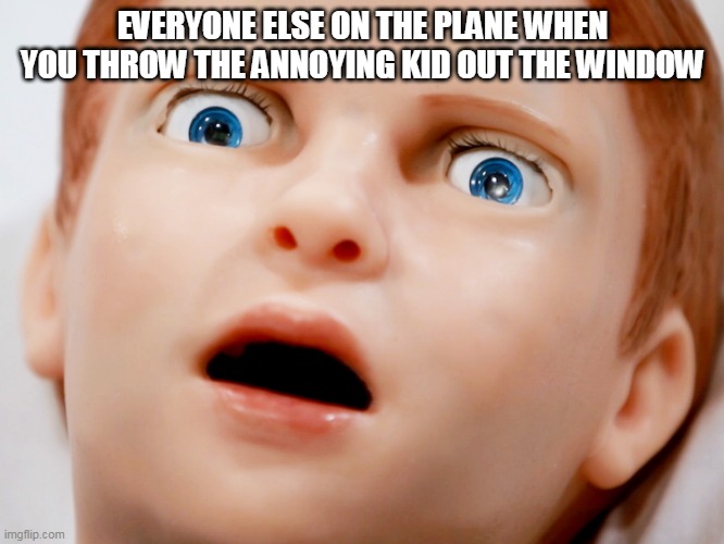 People on the plane | EVERYONE ELSE ON THE PLANE WHEN YOU THROW THE ANNOYING KID OUT THE WINDOW | image tagged in funny memes | made w/ Imgflip meme maker