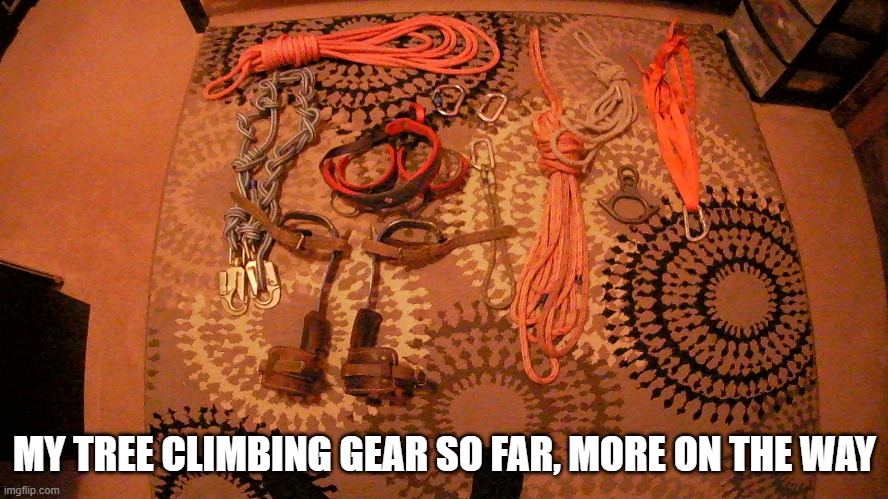 title |  MY TREE CLIMBING GEAR SO FAR, MORE ON THE WAY | image tagged in oh wow are you actually reading these tags | made w/ Imgflip meme maker