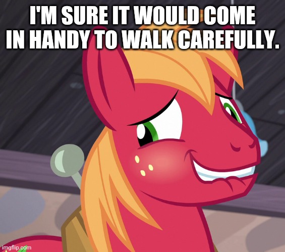 Blushed Big Macintosh (MLP) | I'M SURE IT WOULD COME IN HANDY TO WALK CAREFULLY. | image tagged in blushed big macintosh mlp | made w/ Imgflip meme maker