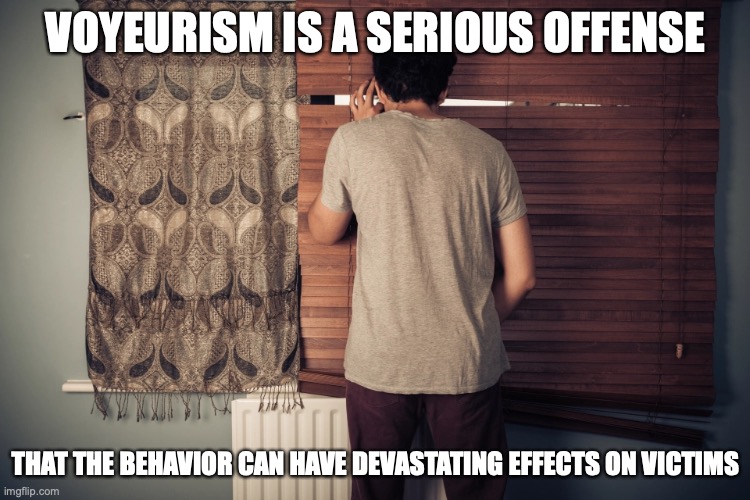 Voyeurism | VOYEURISM IS A SERIOUS OFFENSE; THAT THE BEHAVIOR CAN HAVE DEVASTATING EFFECTS ON VICTIMS | image tagged in voyeurism,memes | made w/ Imgflip meme maker