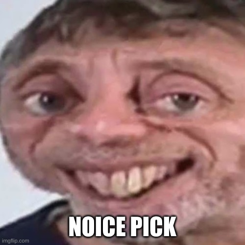 Noice | NOICE PICK | image tagged in noice | made w/ Imgflip meme maker