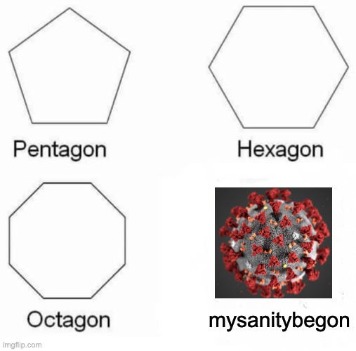 mybrainbegon | mysanitybegon | image tagged in memes,pentagon hexagon octagon,reeeeeeeeeeeeeeeeeeeeee,coronavirus,covid-19 | made w/ Imgflip meme maker