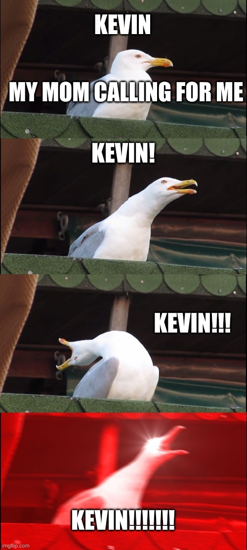 My Mom Calling For Me | KEVIN; MY MOM CALLING FOR ME; KEVIN! KEVIN!!! KEVIN!!!!!!! | image tagged in memes,inhaling seagull,moms,funny | made w/ Imgflip meme maker