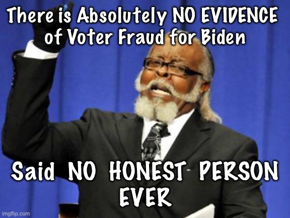 Too Damn High Meme | There is Absolutely NO EVIDENCE 
of Voter Fraud for Biden; Said  NO  HONEST  PERSON
EVER | image tagged in memes,too damn high | made w/ Imgflip meme maker