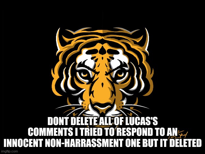 tiger | DONT DELETE ALL OF LUCAS'S COMMENTS I TRIED TO RESPOND TO AN INNOCENT NON-HARRASSMENT ONE BUT IT DELETED | image tagged in tiger | made w/ Imgflip meme maker