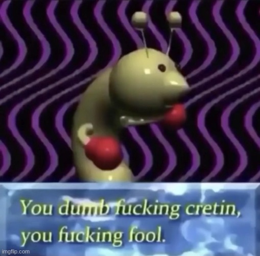 You dumb fucking fool | image tagged in you dumb fucking fool | made w/ Imgflip meme maker