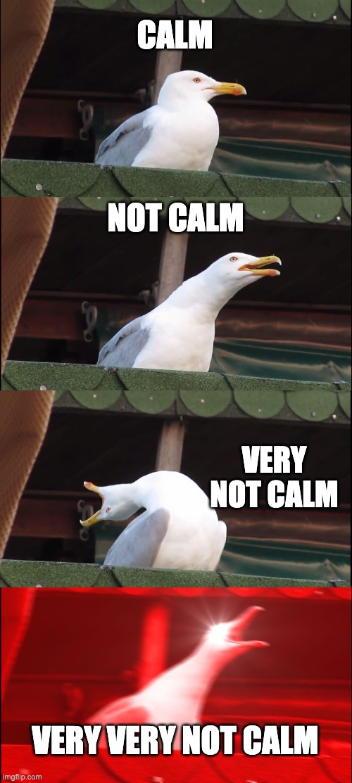 STAY CALM |  CALM; NOT CALM; VERY NOT CALM; VERY VERY NOT CALM | image tagged in memes,inhaling seagull,keep calm | made w/ Imgflip meme maker