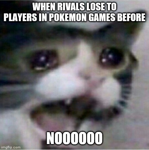 Rivals in pokemon | WHEN RIVALS LOSE TO PLAYERS IN POKEMON GAMES BEFORE; NOOOOOO | image tagged in crying cat | made w/ Imgflip meme maker